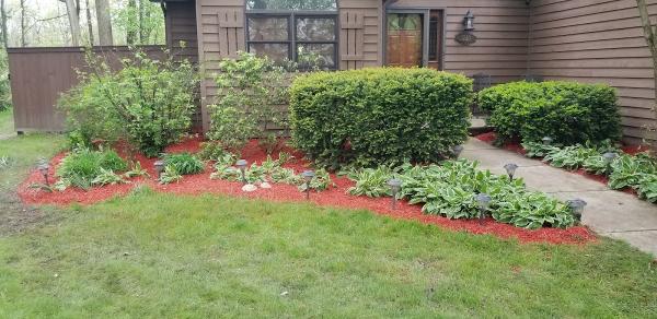 Pete Moss Landscaping