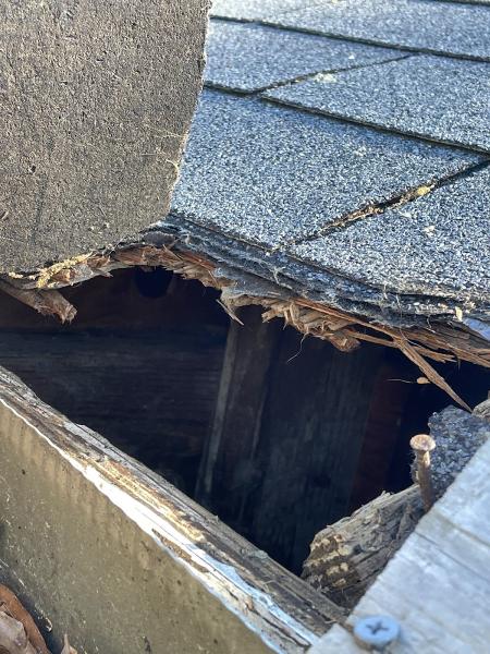 PCA Wildlife Removal