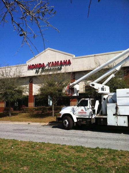 Southern Tree Experts
