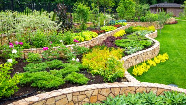 Arborlawn