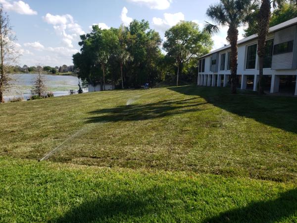 Southern Sod