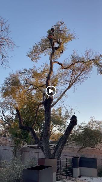 Lopez Landscaping & Tree Service LLC