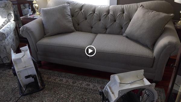 Bed Bug Busters By Ellington Management LLC