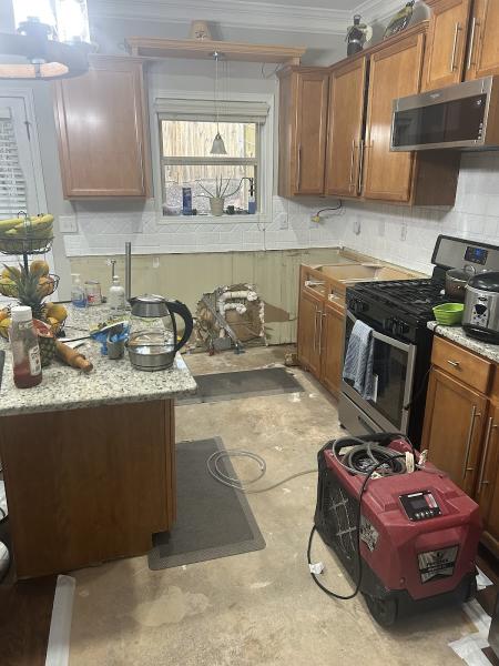 All Restoration Solutions