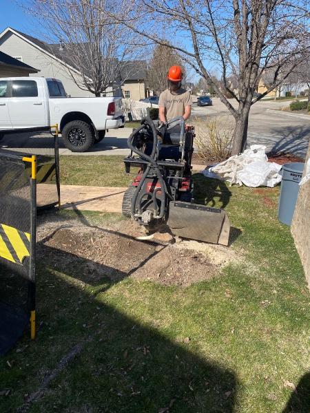 Stump Masters
