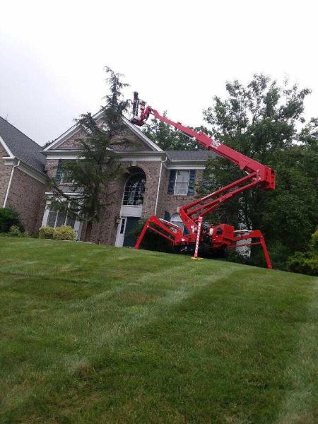 Friendly Tree Service Inc