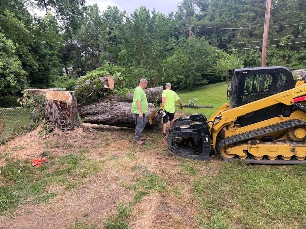 Trim Pro Tree & Landscaping