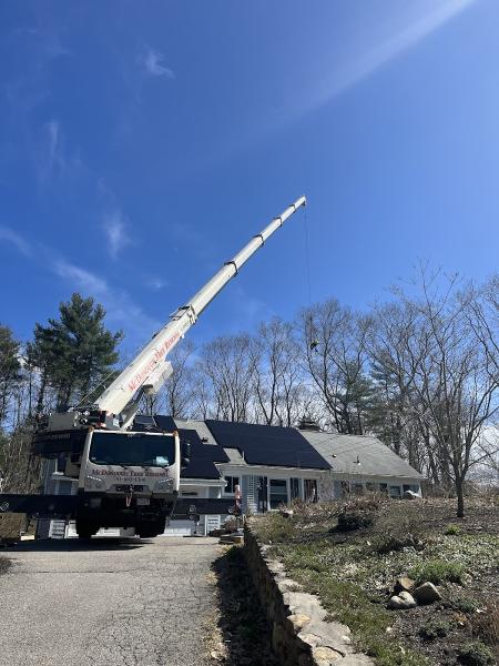 McDonough Tree Removal Inc.