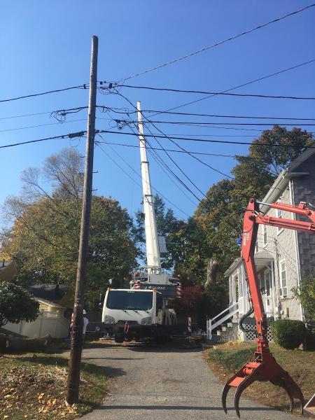 McDonough Tree Removal Inc.