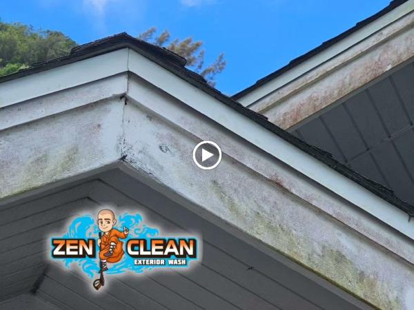 Zen Clean Exterior Wash