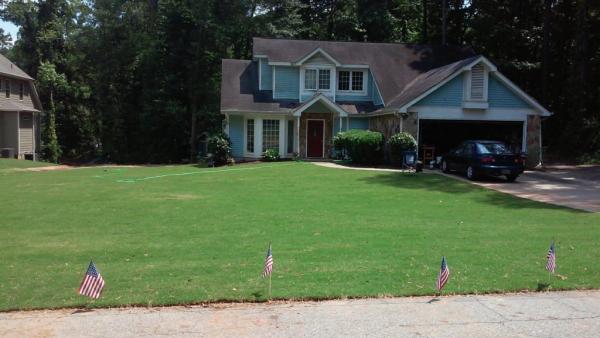 Nearby Lawn Care & Weed Control