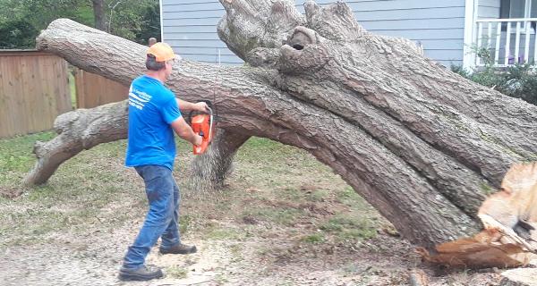U-Savemore Tree Service
