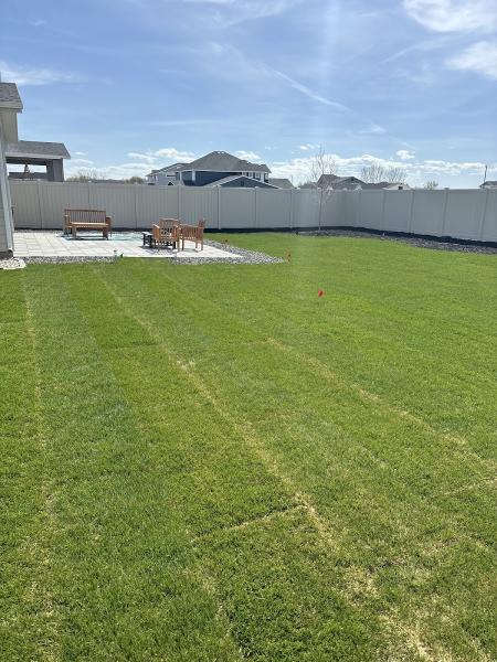 Tree City Landscaping LLC