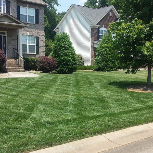 Dynamic Landscape Services