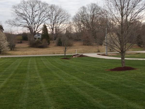 Dynamic Landscape Services