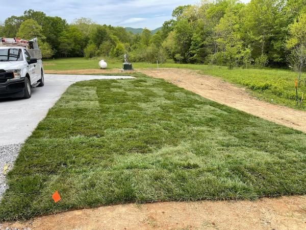 Sod Source