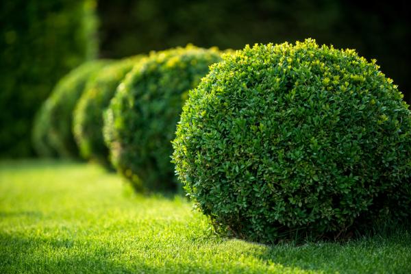 4th Generation Landscaping & Yard Cleanup