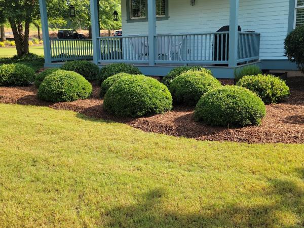 4th Generation Landscaping & Yard Cleanup