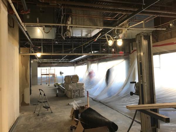 Certified Water and Mold Restoration LLC
