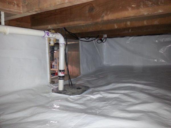 Professional Basement Services