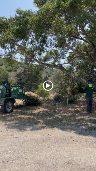 Mountain Valley Tree Service