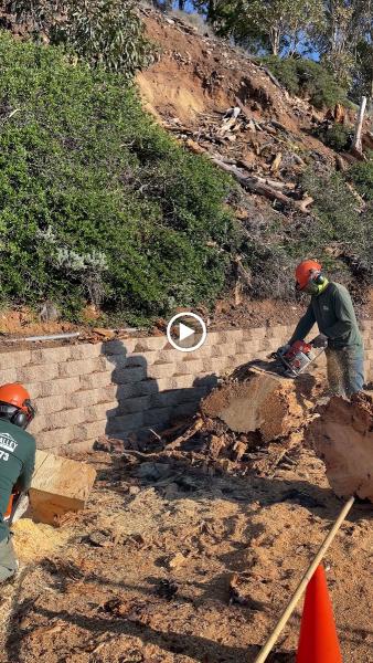 Mountain Valley Tree Service