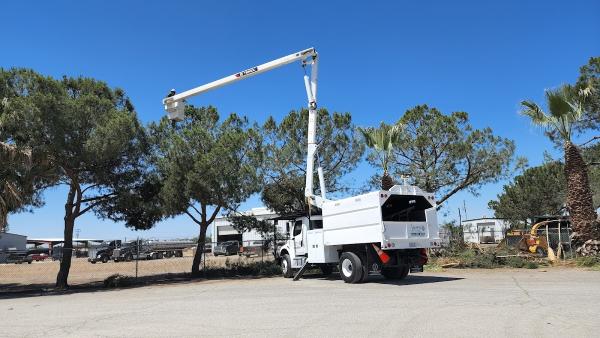 Sierra Tree Service