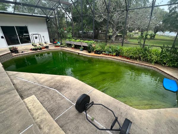 Top Pool Cleaner