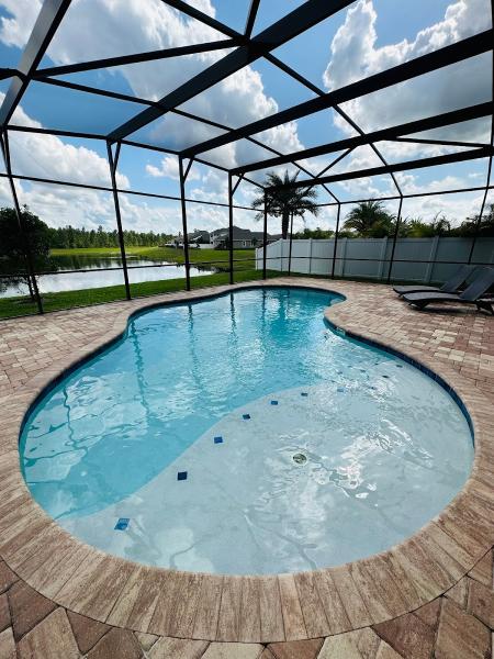 Top Pool Cleaner