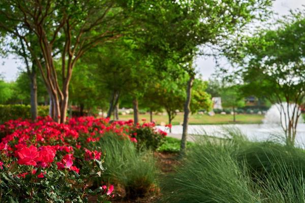 Terry's Landscape LLC