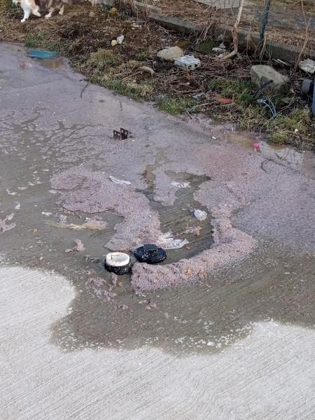 Fletcher Sewer & Drain