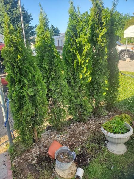 Jr&angi Landscaping LLC