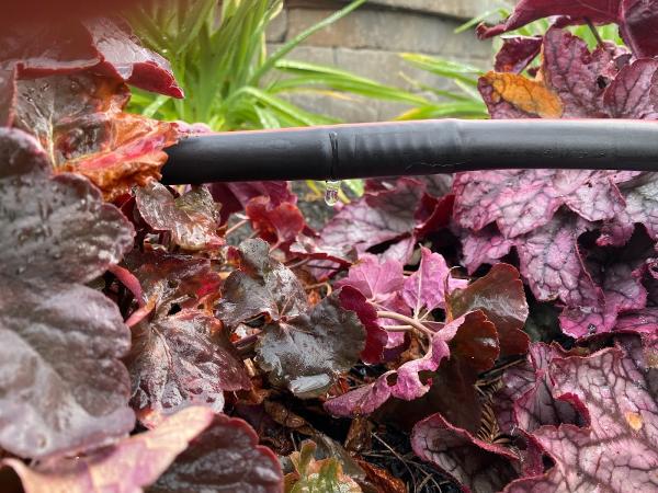 ET Irrigation Consulting Services