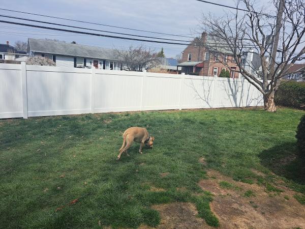 Earlybird Landscaping & Fencing