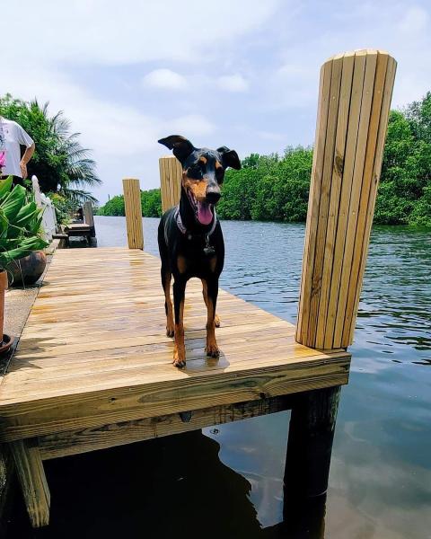 Lakeland Deck