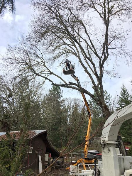 Zero Gravity Tree Service