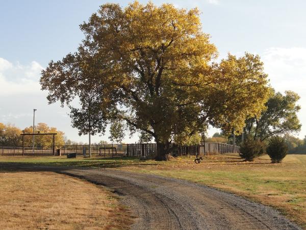 Horizon Farm and Ranch Realty LLC