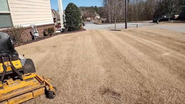 Lawn N Order