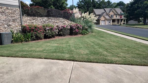 Lawn N Order