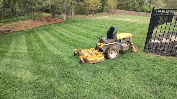 Lawn N Order