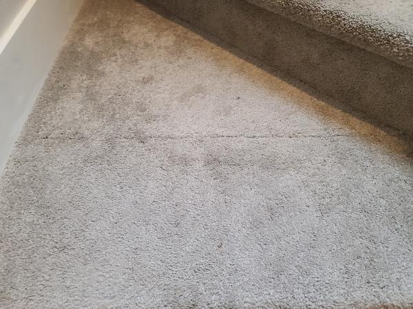 Carpet Surgeon