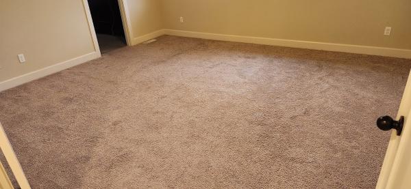 Carpet Surgeon