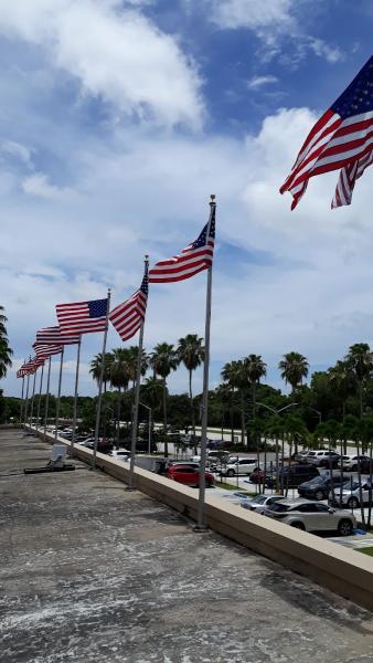 American Lighting & Electrical Services