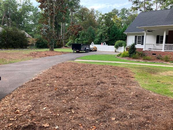 Southern Pines Tree Service