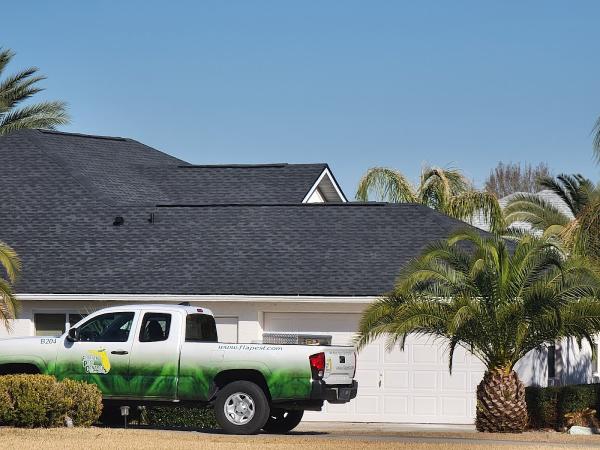 Triumph Roofing