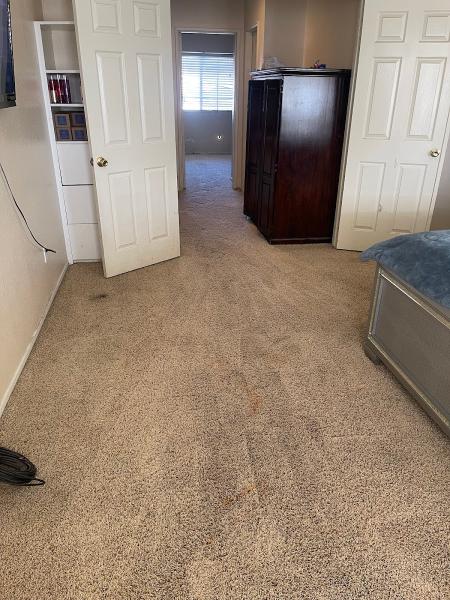 Clean Choice Floor Care