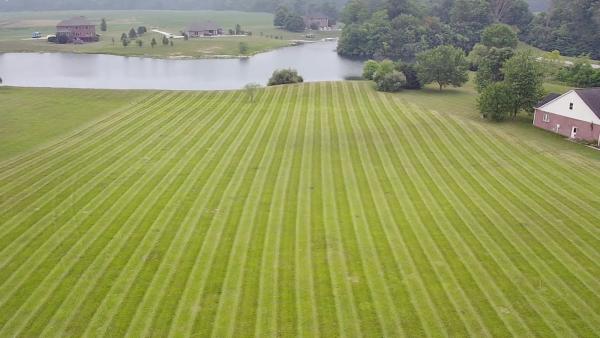 Stumpo Lawn Care and Landscaping
