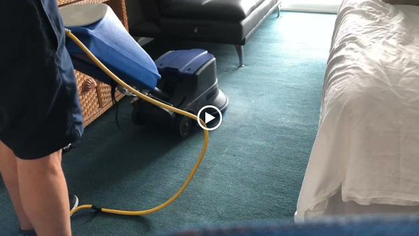 Quality Care Plus Carpet and Upholstery Cleaning