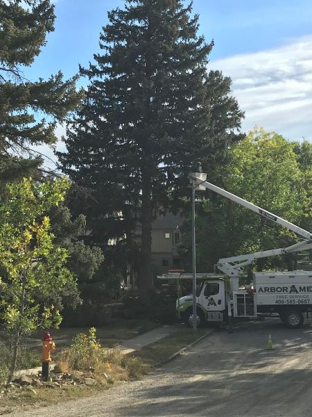 Arbor Medic Tree Service and Lawn Care
