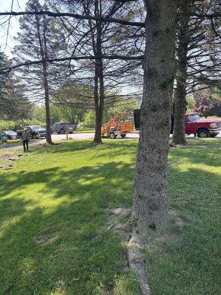 Josmar Tree Service Llc